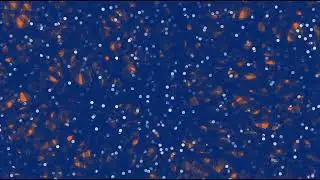 Astronomy abstract, w/linguistic procedural-texture