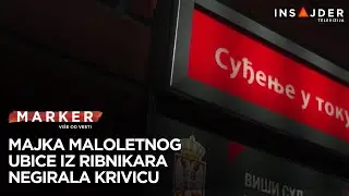 Miljana Kecmanović negirala krivicu i odbila da odgovara na pitanja tužilaca i zastupnika roditelja