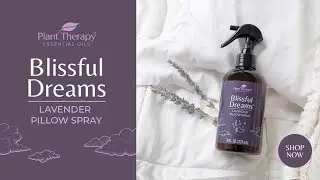 Plant Therapy Essential oils | Blissful Dreams Lavender Pillow Spray Spotlight