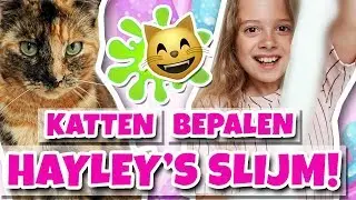 ONZE KATTEN BEPALEN MIJN SLIJM !! 😺 😸 - Broer en Zus TV #342
