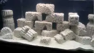 In Wall Reef Aquarium. Part 7 With DIY Live Rock Aquascaping