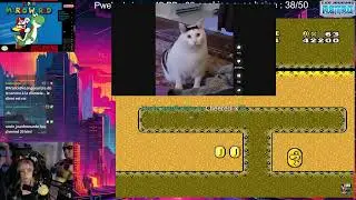 Mario world subset pacifist run : Bowser valley
