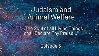 Ep -5: Judaism and Animal Welfare
