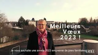Meilleurs V&oelig;ux 2023