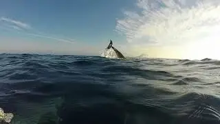 Kid friendly Trafalgar Sailing Gibraltar