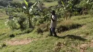 Singing Brady - Farmer man