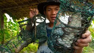 Frog Trap Skill | Create Metal Net Trap For Catch Night Frog After Raining.