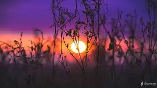 Сумеречный Шепот / Twilight Whisper /relax music /релакс музыка для души