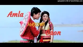 Amla Hajong gaon