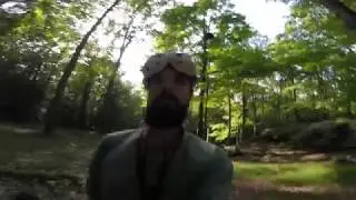 Forest Flying For Fun