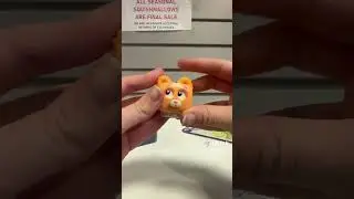 Opening A Squirkies Fidget Pet Mystery Box!!