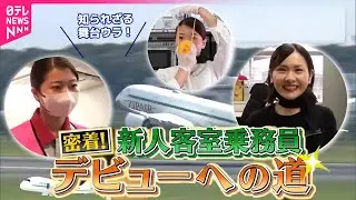 【新人まとめ】私、CAになります！汗と涙の奮闘記／子育てが落ち着き転職　新人女性ドライバー