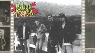 Podunk Arkansas - Never Better