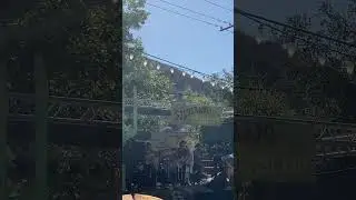 Silverado Canyon County Fair last year 🤠 #silveradocanyon #countyfair #shorts
