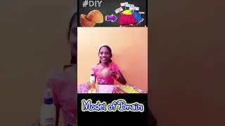 Science Day Project - Brain Model #scienceproject #schoolproject #kids #shorts #shorta