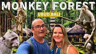 MONKEY FOREST SANCTUARY in Ubud, Bali | For Monkey Lovers Only!