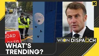 French Political Crisis Deepens | Dead Birds in New York Alarm Residents | WION Trending