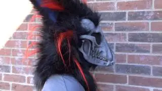 Skull k9 in daylight
