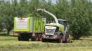 Claas Jaguar 950-type 498 - Claeys Agri - gras hakselen