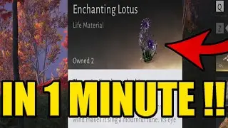 ALL LOCATIONS of ENCHANTING LOTUS in WHERE WINDS MEET