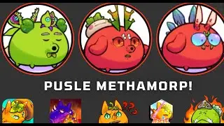 AXIE ORIGIN METHAPORPHOSIS PUSLE TEAM OFF SEASON 14