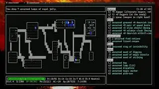 Let's Play Some NetHack (10/20)