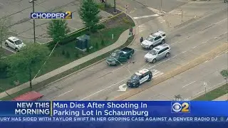Man Dies After Shooting Outside Schaumburg Walgreens