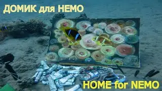 NEMO fish was found. UNDERWATER PAINTING by OLGA NIKITINA