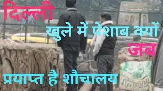 Open Urinating, Urinating on Public Palace.