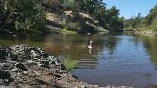 Upper Park run & water quality check Oct. 5th 2025