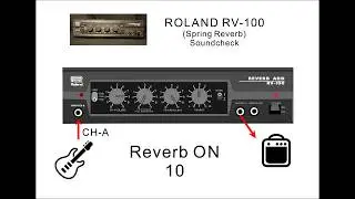 Roland RV 100 spring reverb soundcheck