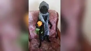 The Most Unhinged Clips on the Internet