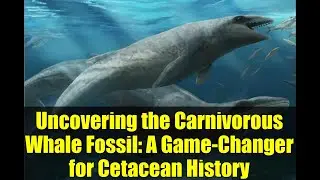 Uncovering the Carnivorous Whale Fossil: A Game-Changer for Cetacean History