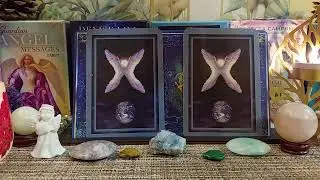 BERBEC &ndash; Mesaj Divin și Etalare Intuitivă | Tarot + Oracol | Noiembrie 2025