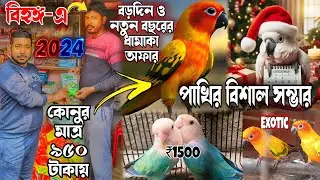 Exotic Bird shop in Howrah। Howrah Best Bird shop। Howrah Chamrail birds shop। Exotic Birds farm🔥