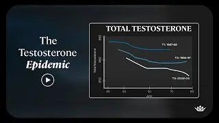 The Testosterone Epidemic explained by Dr. Cam - How to increase your testosterone?