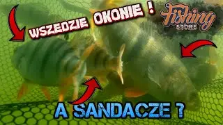 Spinning z ŁODZI ! OKONIE, SZCZUPAKI, SUM?!  ft. @fishingstorepl
