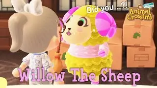 Willow The Sheep Snooty Villager Animal Crossing New Horizons ACNH