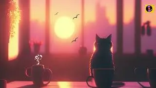 Sunlit Soundscapes ☕️  Finding Peace in Early Morning Lofi