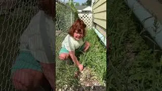 Ellie is back showing us how to properly pick weeds! #kids #ellie #reels #tiktok #funny #viralvideo
