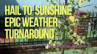 Hail To Sunshine, Epic Weather Turnaround