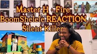 🇿🇼 @MasterH -FireBoomShelele REACTION  @originalsilentkillerngwere @queenkadjah @jnrspraggadareguru 
