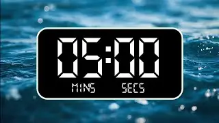 Quick 5 Minute Focus Break (With Ambient Sound) | 5 MINUTE TIMER