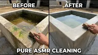 Extremely Satisfying ASMR Cleaning of a Dirty Animal Water Tank|No Talking Pure ASMR