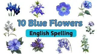 10 Blue Flowers Names In English | Flowers Name in English With Pictures | Flowers Vocabulary