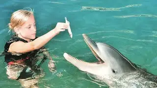 Dolphin Quest Bermuda Excursion