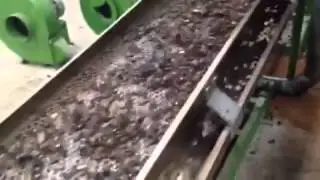 Cashew shelling line