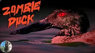 What's REALLY Going On in This Creepy Zombie Duck Park? ║ New 3D Action Game