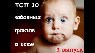 10 забавных фактов о всем (выпуск 3) / 10 interesting facts about everything (issue 3)