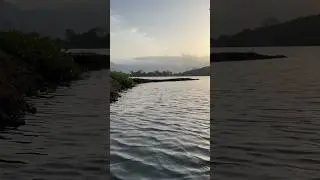 Sorabora wewa #travelvlog #naturelovers #chilling